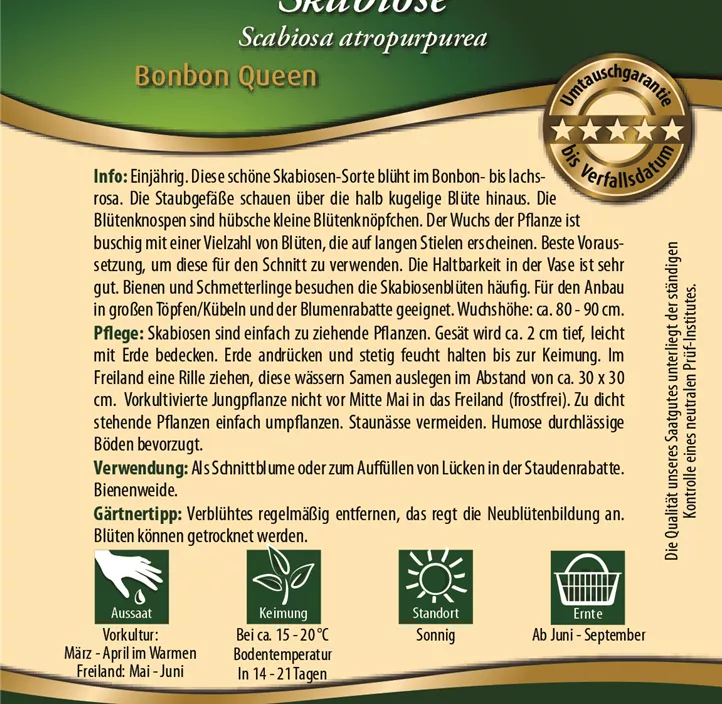 Scabiose Bonbon Queen