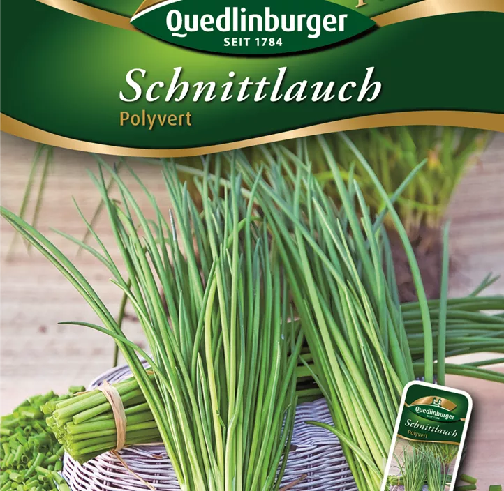 Schnittlauch Polyvert Schnittlauch Polyvert