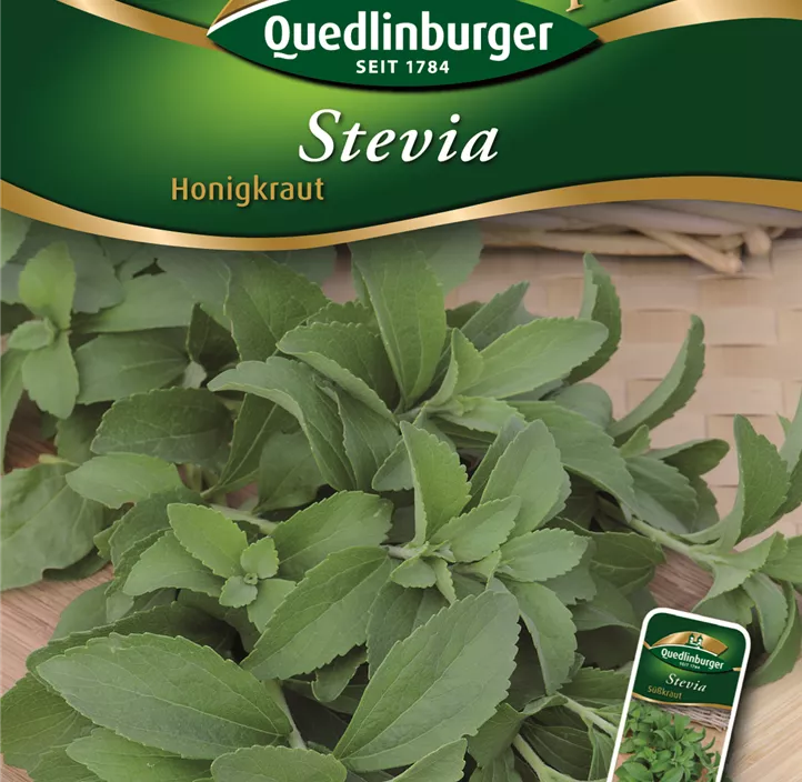 Stevia Süßkraut Stevia Süßkraut