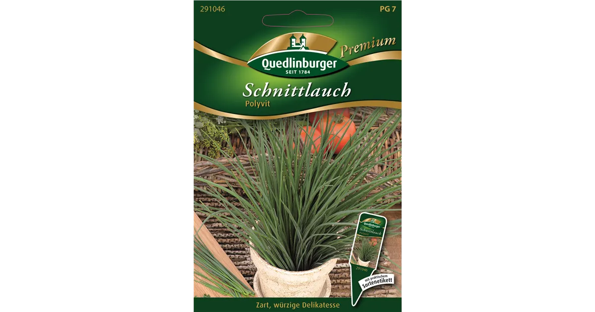 Schnittlauch Polyvit Samen – Mittelgrobröhrig, Wüchsig & Bienenfreundlich