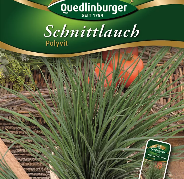 Schnittlauch Polyvit