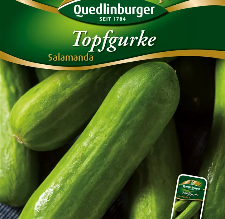 Topfgurke Salamanda