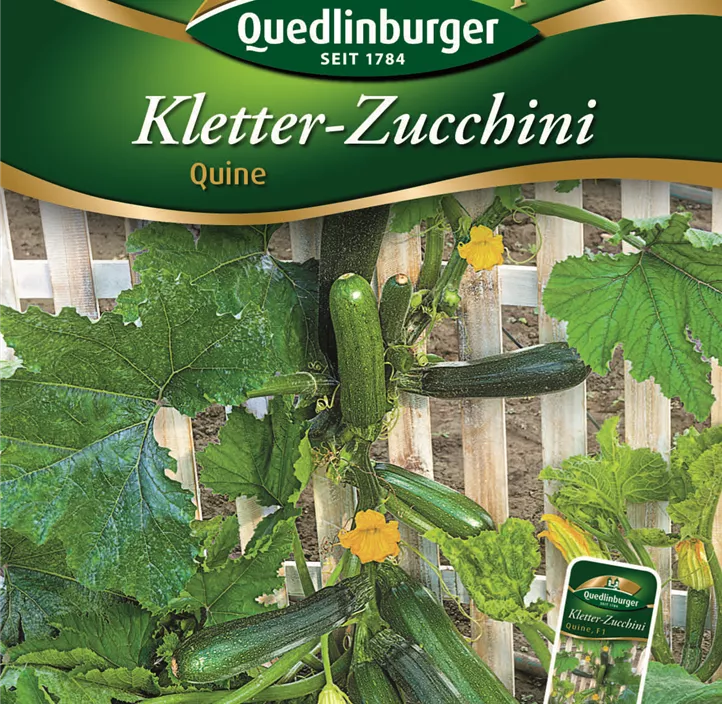 Kletter-Zucchini Quine