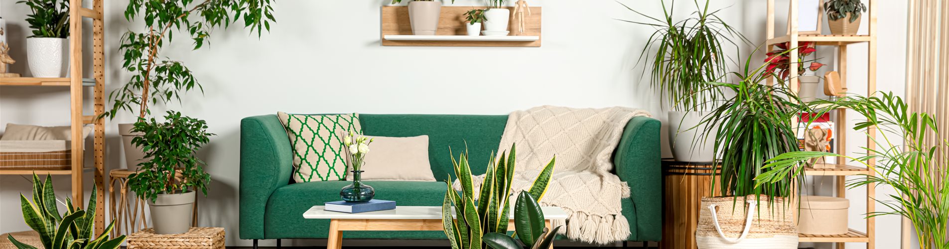 indoor-welt_trendsetter indoor-welt_trendsetter