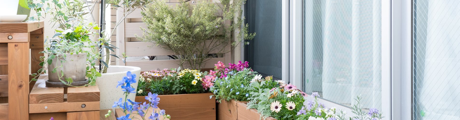 Balkon_terrassen-welt_insektenfreundlich Balkon_terrassen-welt_insektenfreundlich