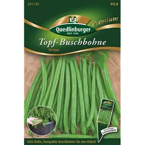 Topf-Buschbohne Tempo