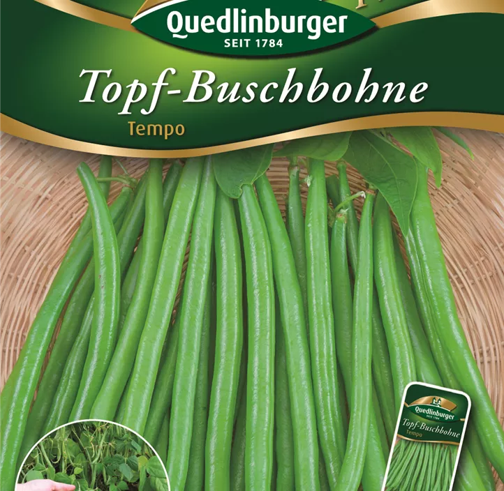 Topf-Buschbohne Tempo