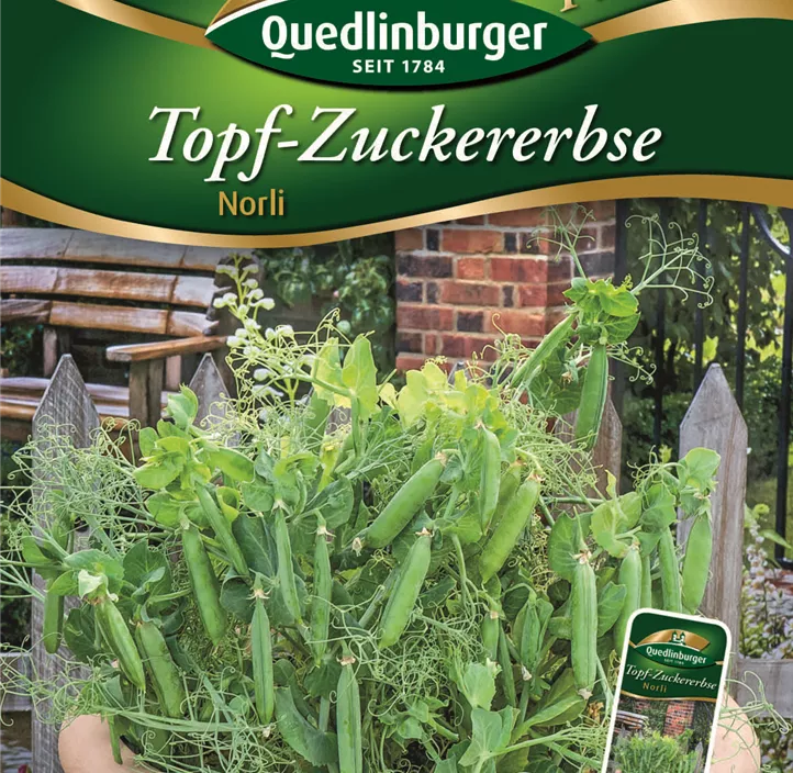 Topf-Zuckererbse Norli