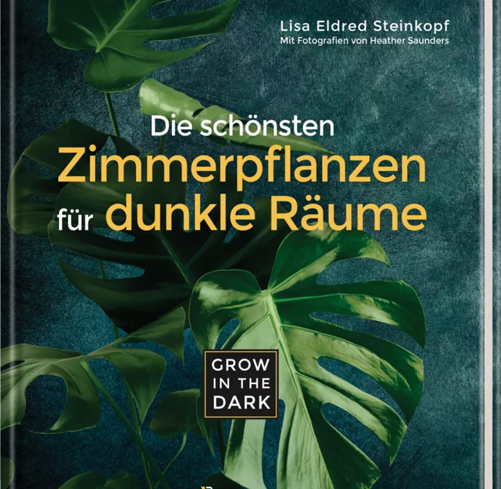 Grow in the Dark - Die schönsten Zimmerpflanzen für dunkle Räume