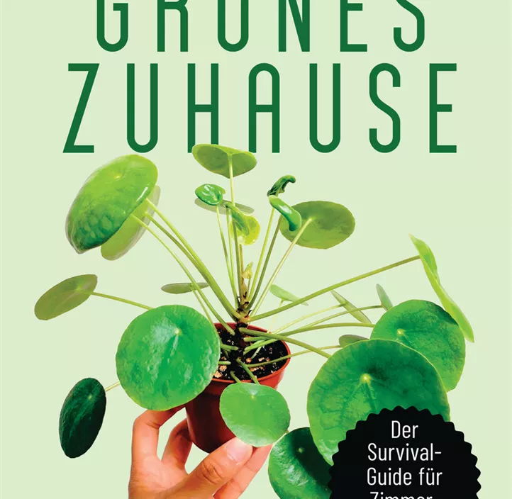 Grünes Zuhause