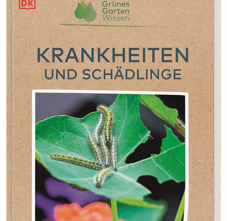 Krankheiten und Schädlinge