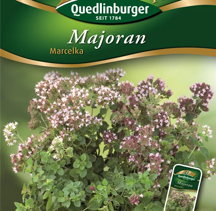 Majoran Marcelka