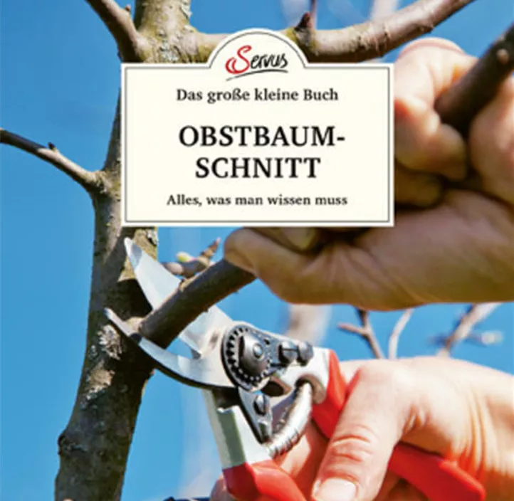 Obstbaumschnitt