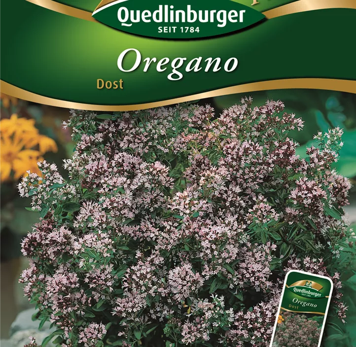 Oregano Dorst Oregano Dorst