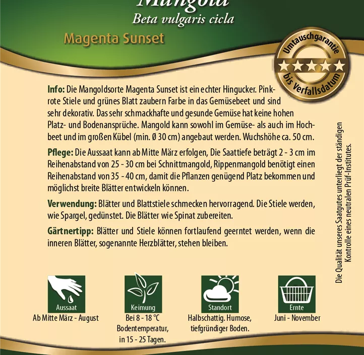 Mangold Magenta Sunset Mangold Magenta Sunset