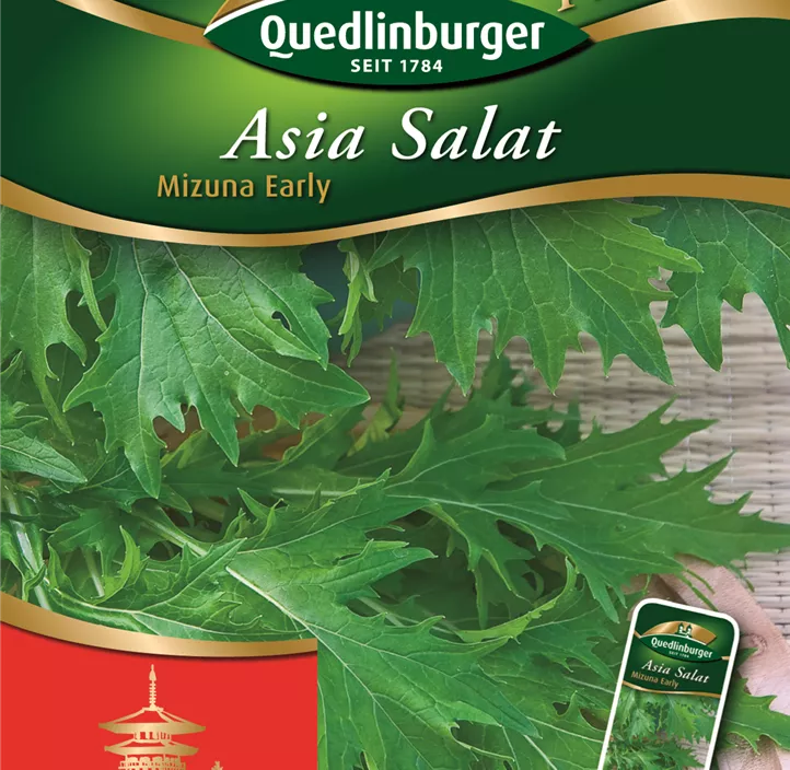 Mizuna Mizuna Early 