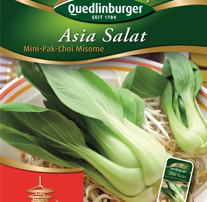Asia Salat Pak-Choi-Mini Misome Asia Salat Pak-Choi-Mini Misome