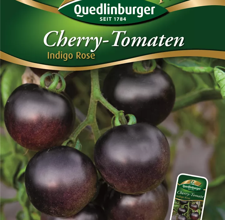 Cherry-Tomaten Indigo Rose Cherry-Tomaten Indigo Rose