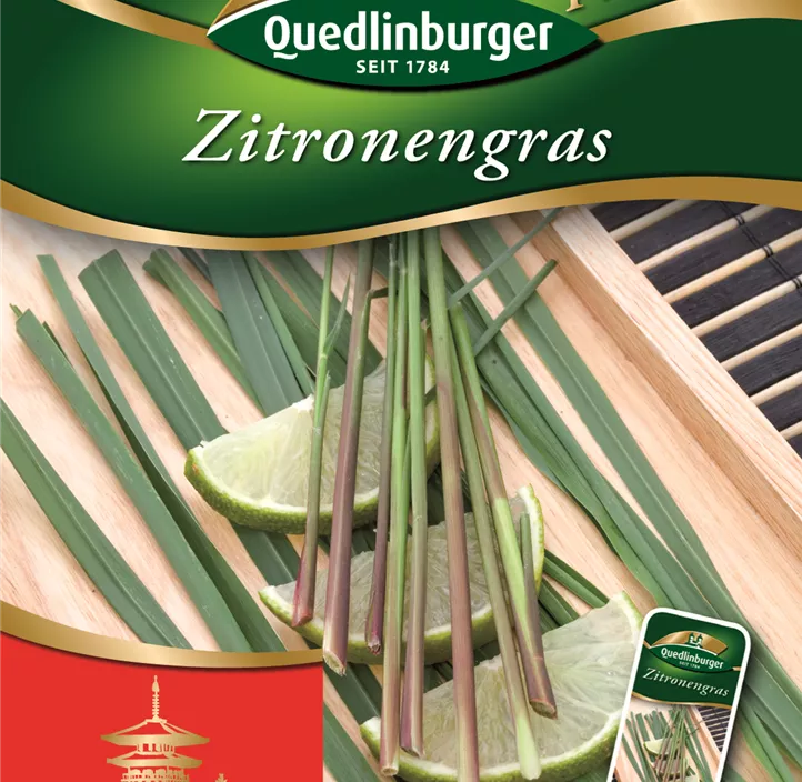 Zitronengras Zitronengras
