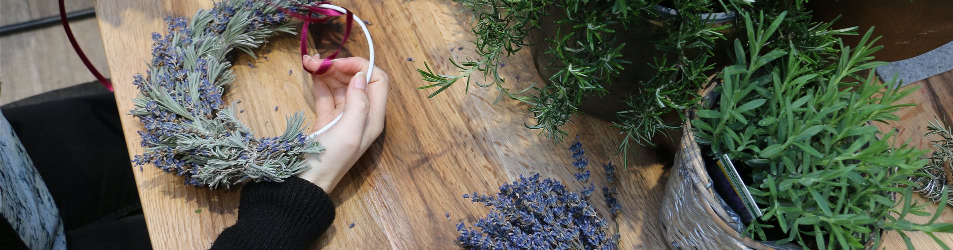 Basteln eines Lavendelkranzes