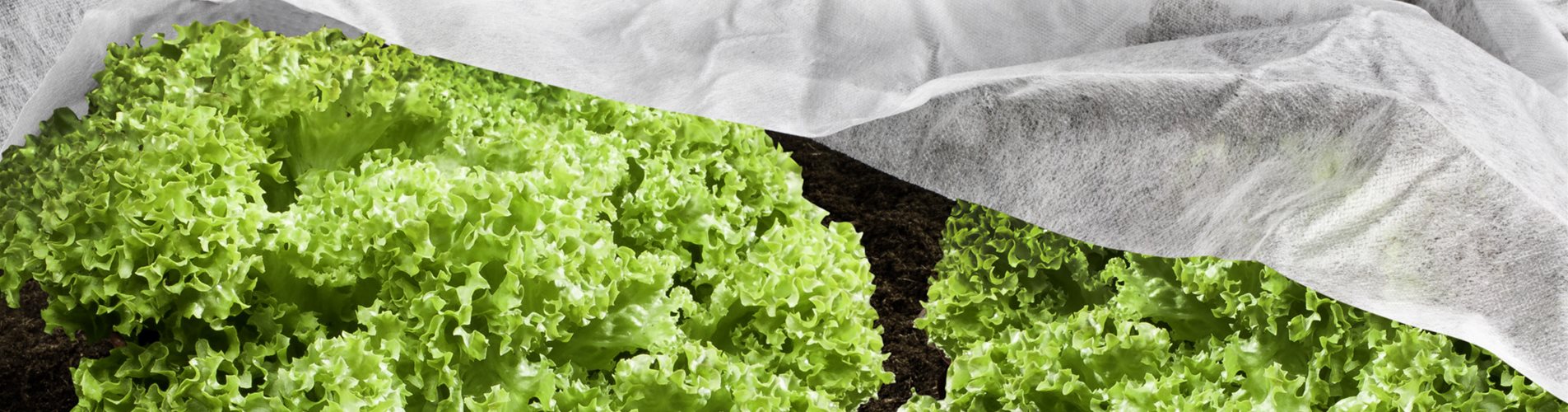 9003117067172_1 9003117067172_1