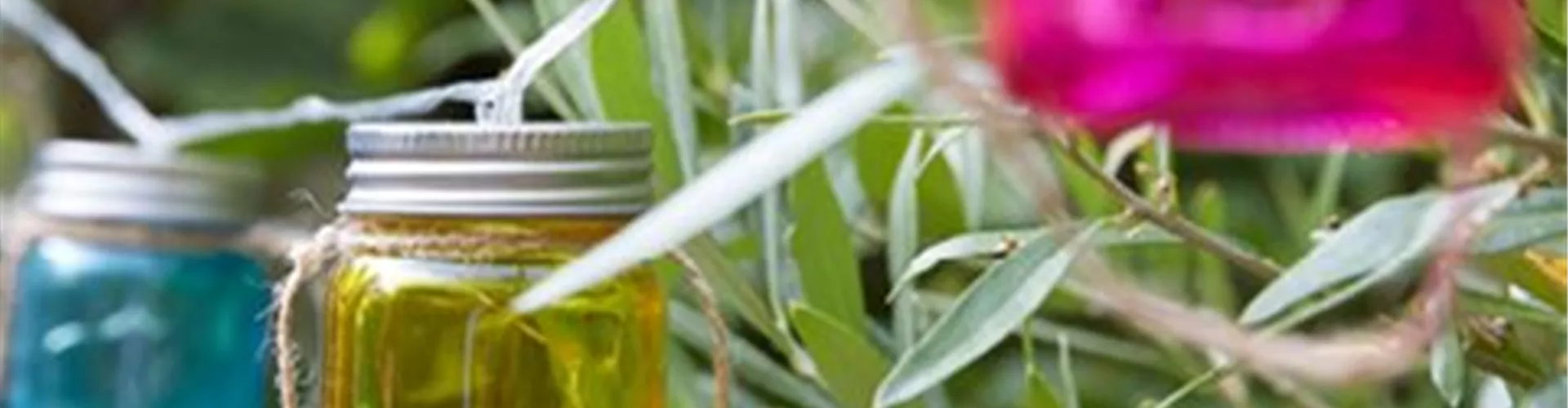 Wochenendaktionen Solarbeleuchtung - Bellaflora