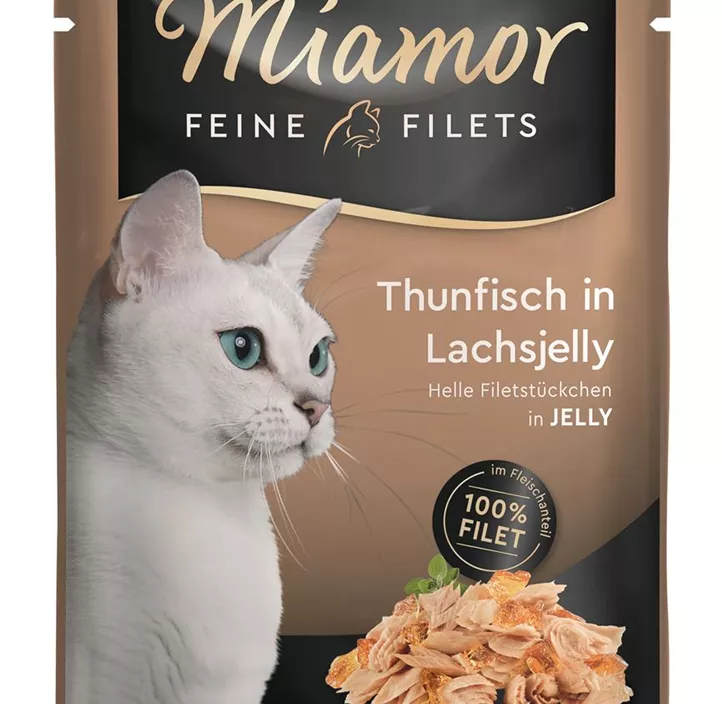 Filets Thunfisch in Lachsjelly