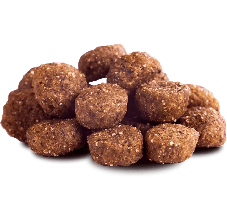 Trockenfutter Adult Rind 