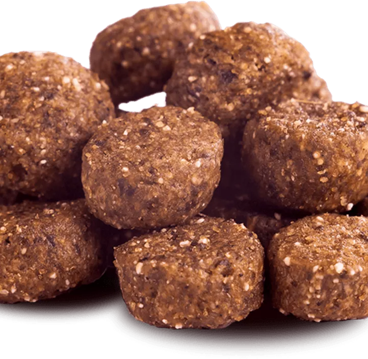 Trockenfutter Adult Rind 