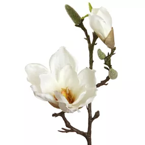 Magnolienpick