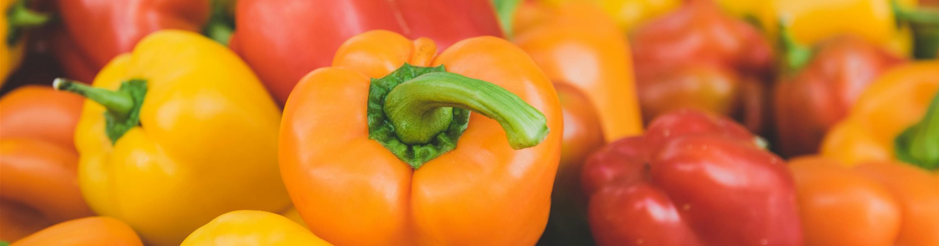 pexels-kaip-594137-0-482-6000-3375