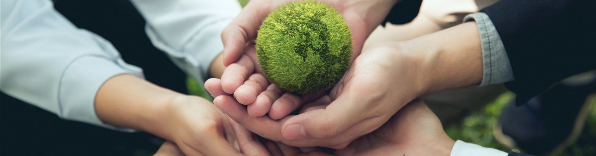 AdobeStock_667490320-0-0-5472-3648 AdobeStock_667490320-0-0-5472-3648