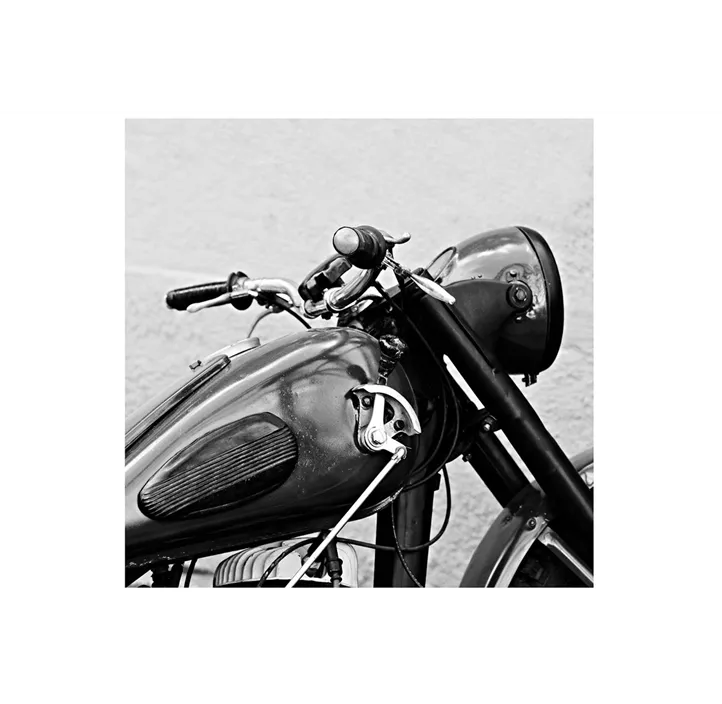 Bild Harley
