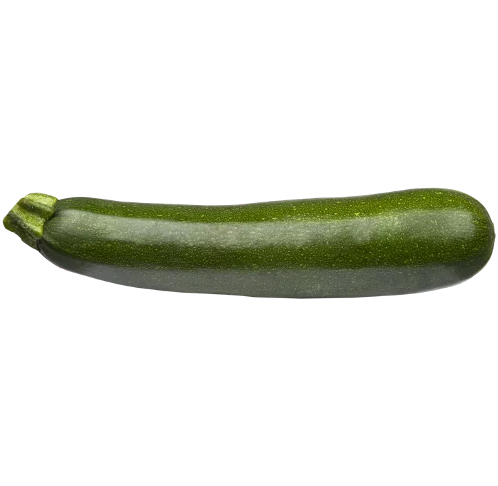 Zucchini