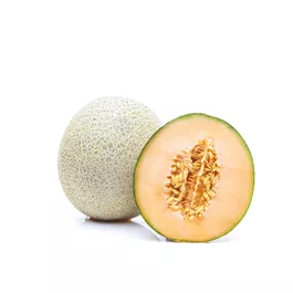 Cucumis melo Marlene