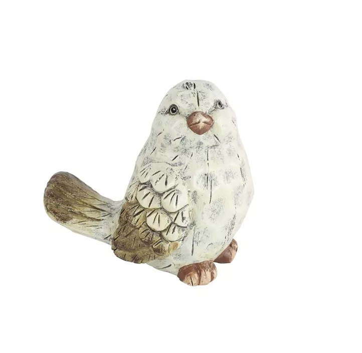 Vogel Cato