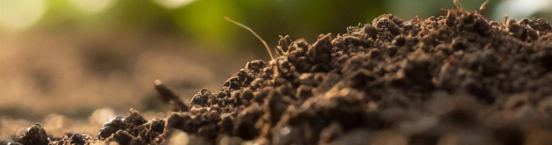 Bedeutung des Bodens Header Bedeutung des Bodens Header