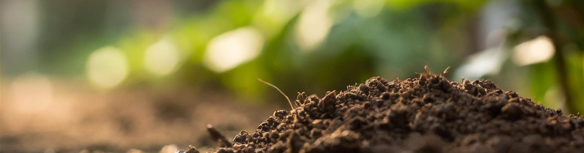 Bedeutung des Bodens Header Bedeutung des Bodens Header