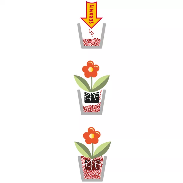 Pflanzgranulat fr Zimmerpflanzen - Bellaflora