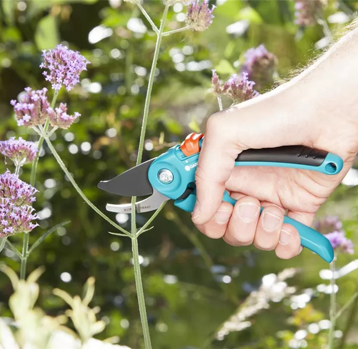 Gartenschere B/S