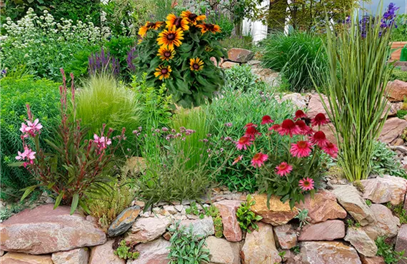 Themenwelten-hitze-trockenheitsliebender-garten_1242x828.png