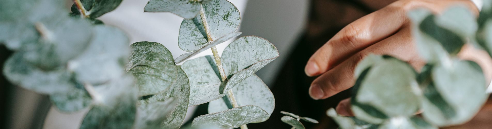 pexels-teona-swift-6912894