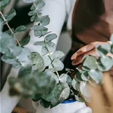 Eukalyptus