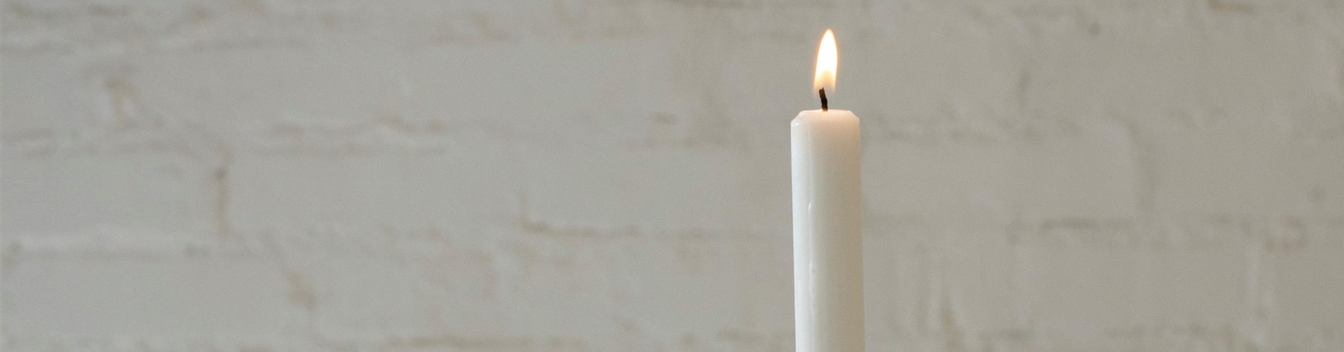 pexels-jill-burrow-5987224-0-1355-3520-1980 pexels-jill-burrow-5987224-0-1355-3520-1980