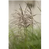 bellaflora Gartencenter GmbH