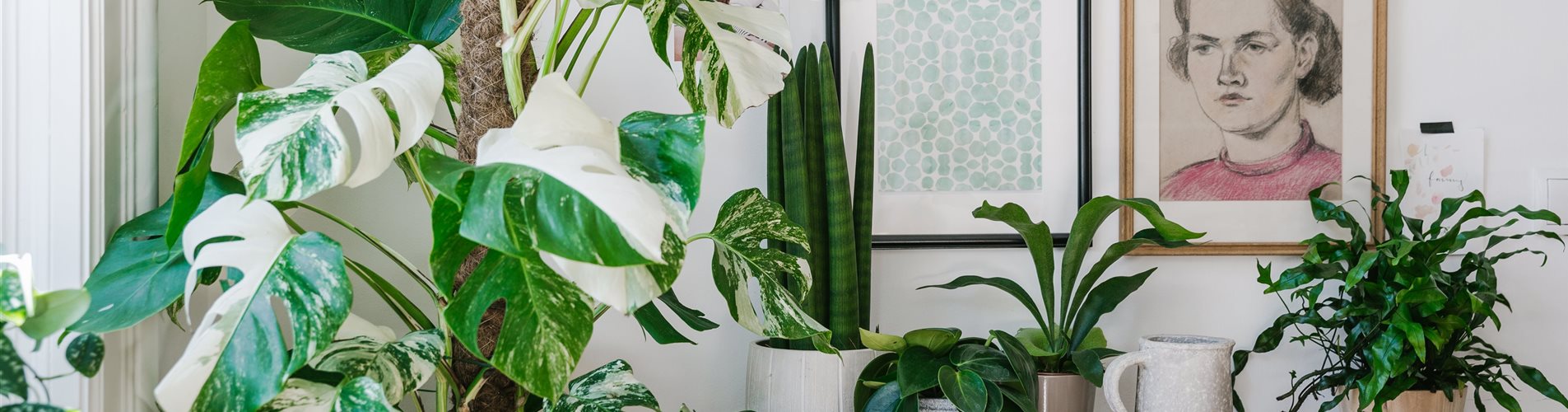 ladyvenom_bellaflora_lenzkipopenski-144-0-366-5675-3192 ladyvenom_bellaflora_lenzkipopenski-144-0-366-5675-3192