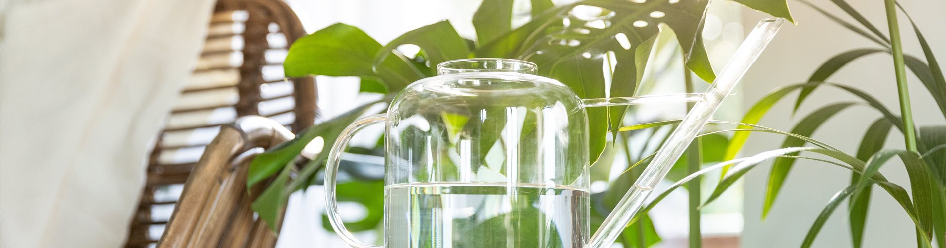 Jungle Ambiente - Gießkanne aus Glas Jungle Ambiente - Gießkanne aus Glas