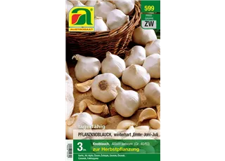 V001033467_Winterknoblauch.jpg