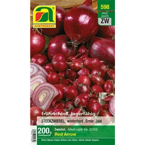 Wintersteckzwiebel rot Wintersteckzwiebel rot