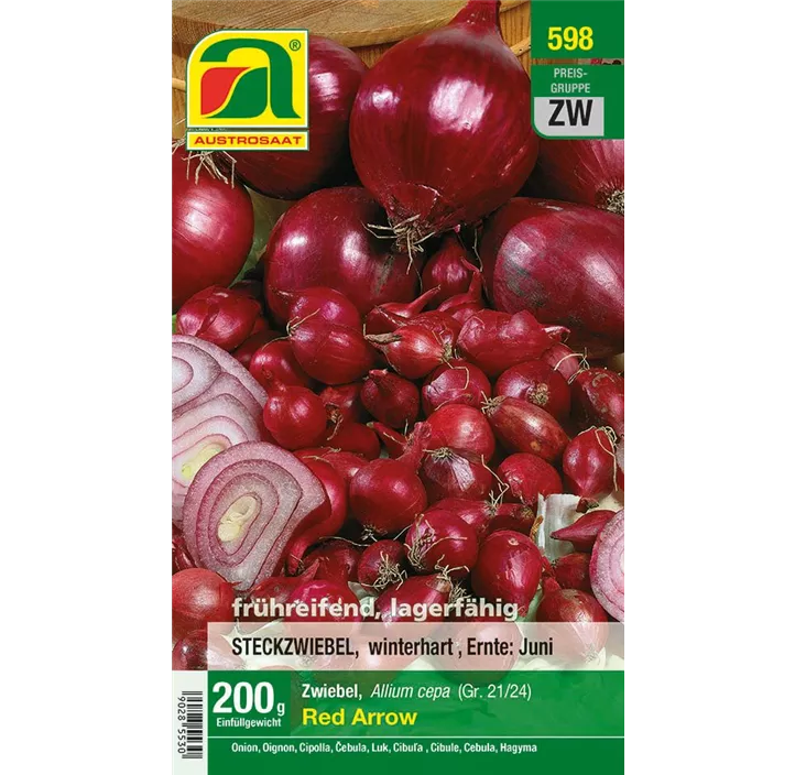 Wintersteckzwiebel rot